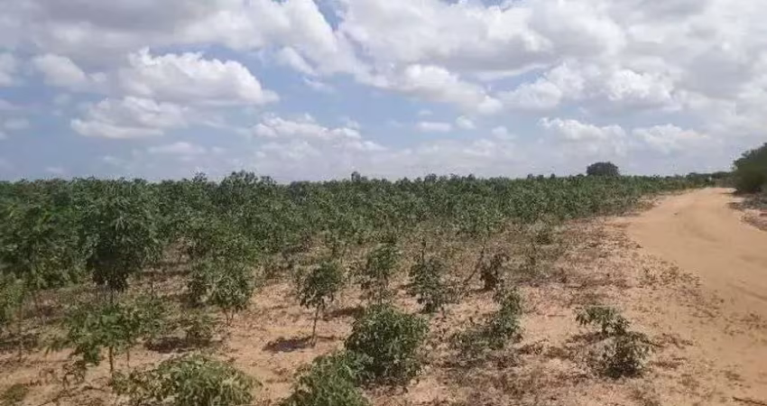 Chácara / sítio com 3 quartos à venda no Centro, Macaíba 