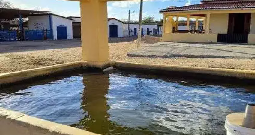 Chácara / sítio com 5 quartos à venda no Centro, Tangará 
