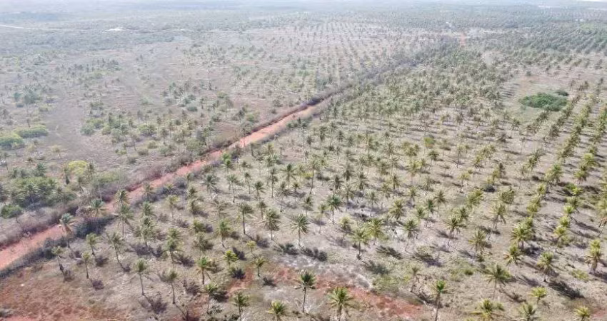 Fazenda com 279 hectares na região de rio do fogo excelente para coqueiros