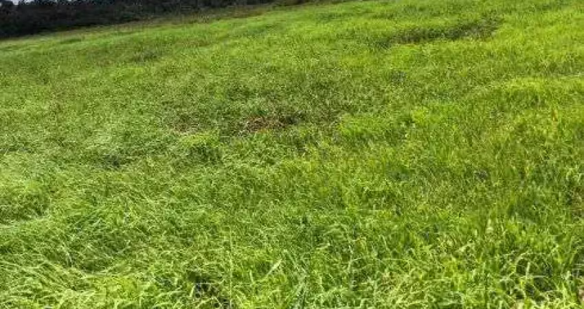 Chácara / sítio com 4 quartos à venda no Centro, Ceará-Mirim 