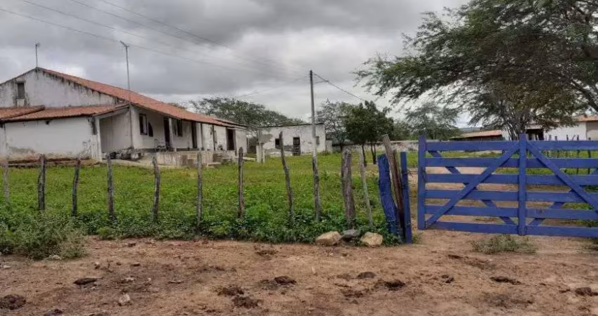Fazenda com 500 hectares em currais novos com ascesso na br226 uma oportunidade excelente