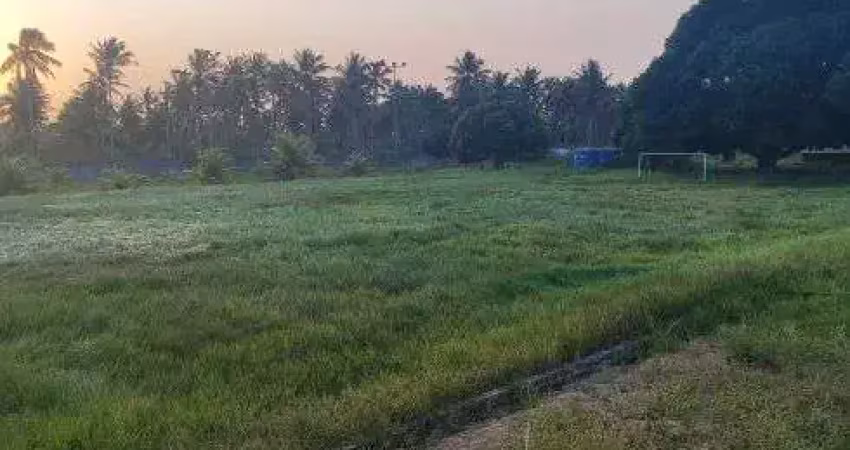 Granja com 4 hectares no villagio dos coqueiros próximo a monte alegre