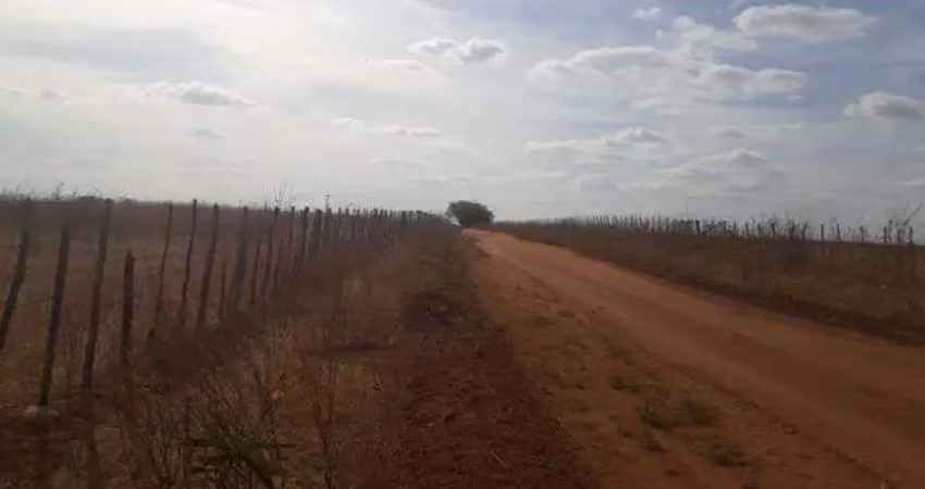 Chácara / sítio com 5 quartos à venda no Centro, Apodi 