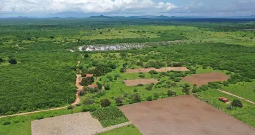 Fazenda/sítio/chácara com 320 hectares próximo a cidade área excelente para quais quer atividade