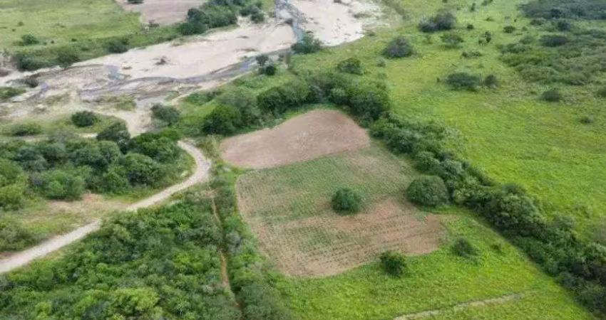 Fazenda com 300 hectares na região de ielmo marinho