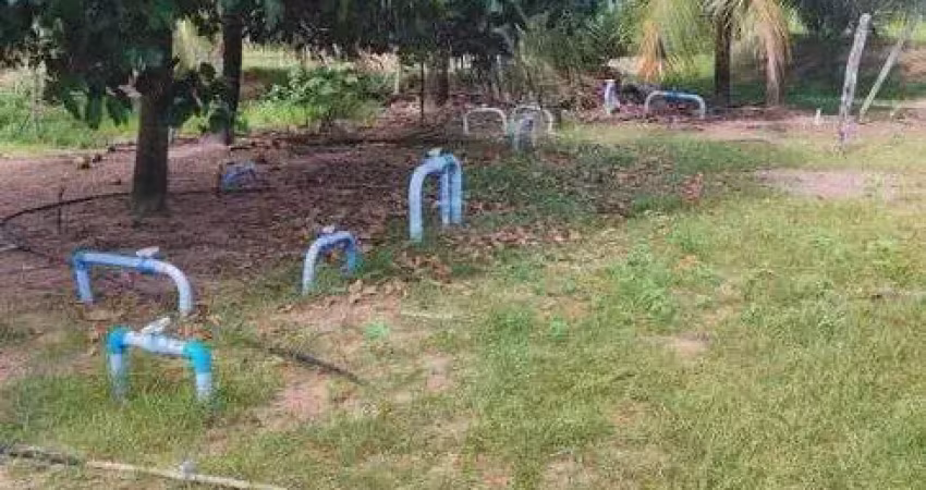 Chácara / sítio com 3 quartos à venda no Centro, Rio do Fogo 