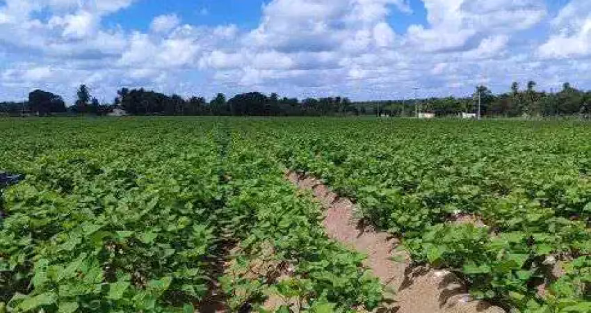 Granja com 18 hectares na região de vera cruz 100% irrigada um luxo de terra