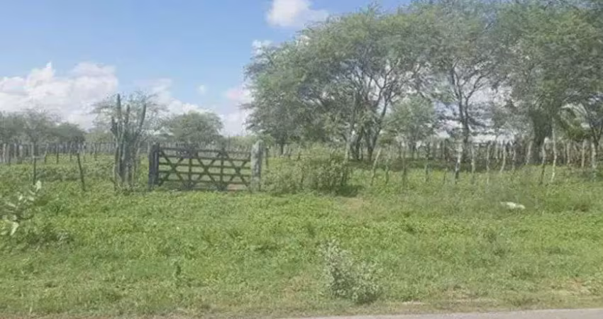 Chácara / sítio com 3 quartos à venda no Centro, São Pedro 