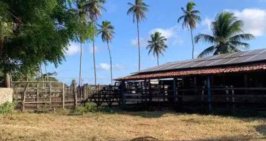 Excelente fazenda com 30 hectares no vale de ceará mirim