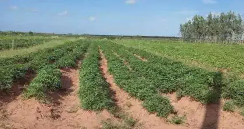 Fazenda com 60 hectares próximo a santa luzia de touros