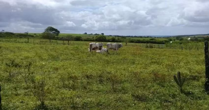 Chácara / sítio com 4 quartos à venda no Centro, Lagoa de Pedras 
