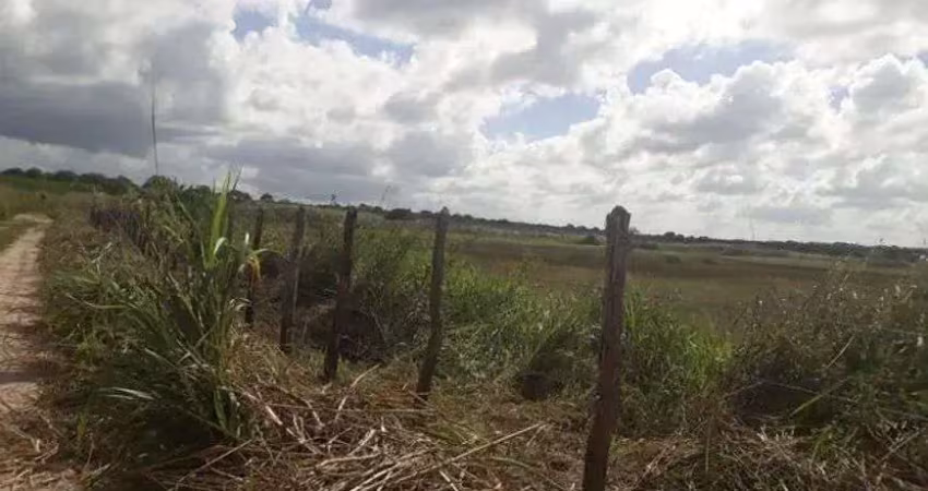 Excelente fazenda com 95 hectares na região de vera cruz