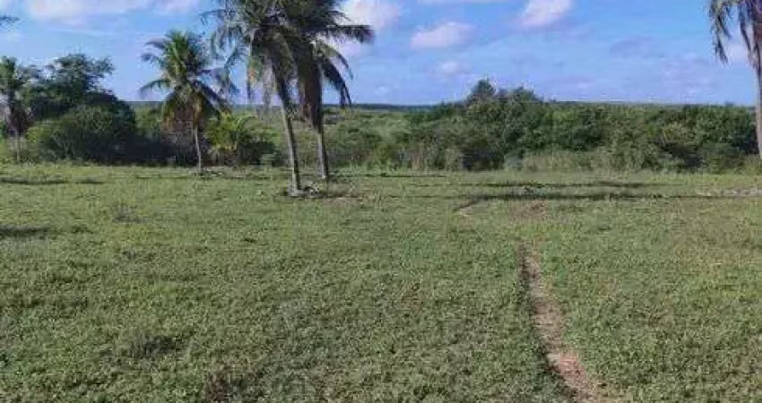 Chácara / sítio com 3 quartos à venda no Centro, Pureza 