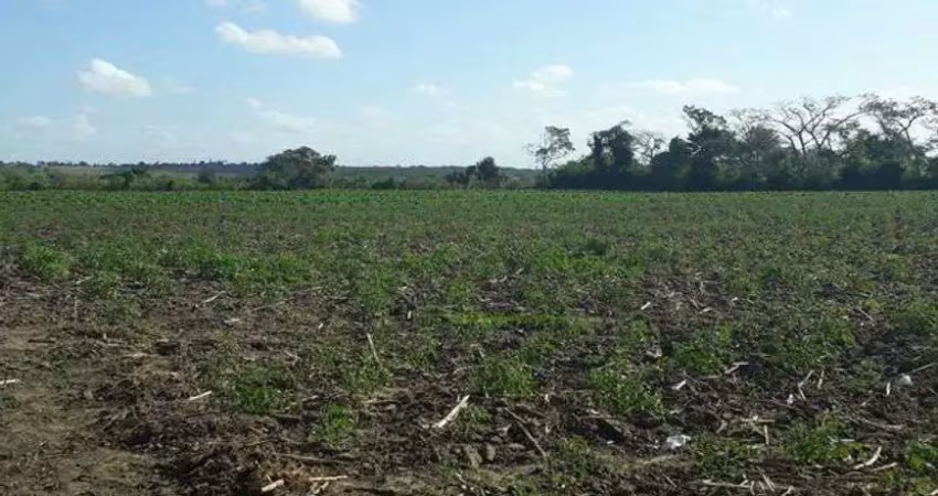 Fazenda em monte alegre com 20 hectares com o rio trairi