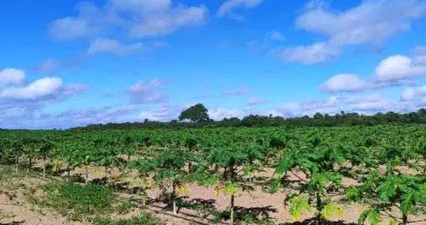 Chácara / sítio com 2 quartos à venda no Centro, São José de Mipibu 