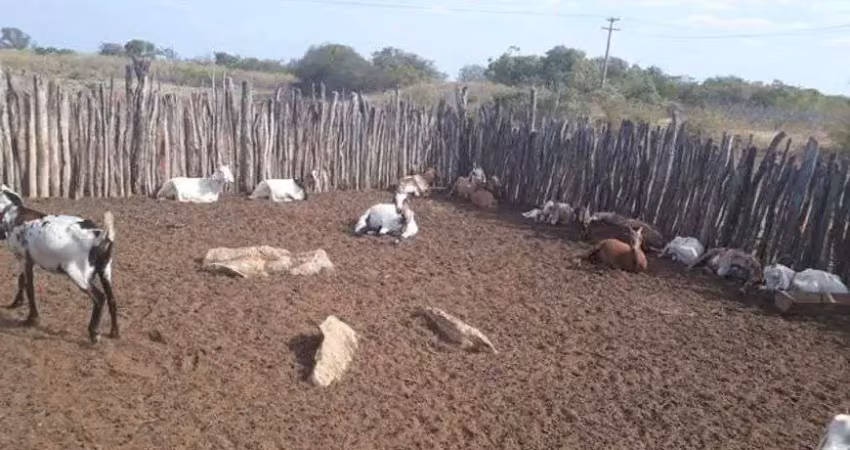 Linda fazenda com 380 hectares na chapada de apodi-rn