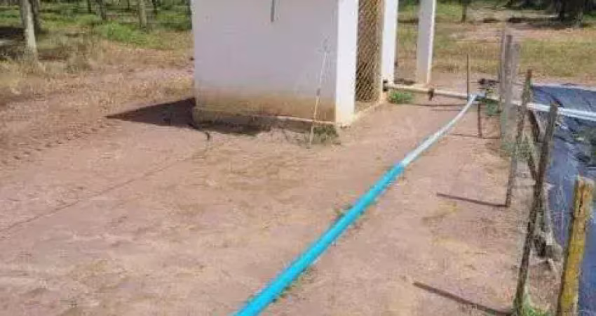 Fazenda de coqueiros de porteira fechada em ceará mirim