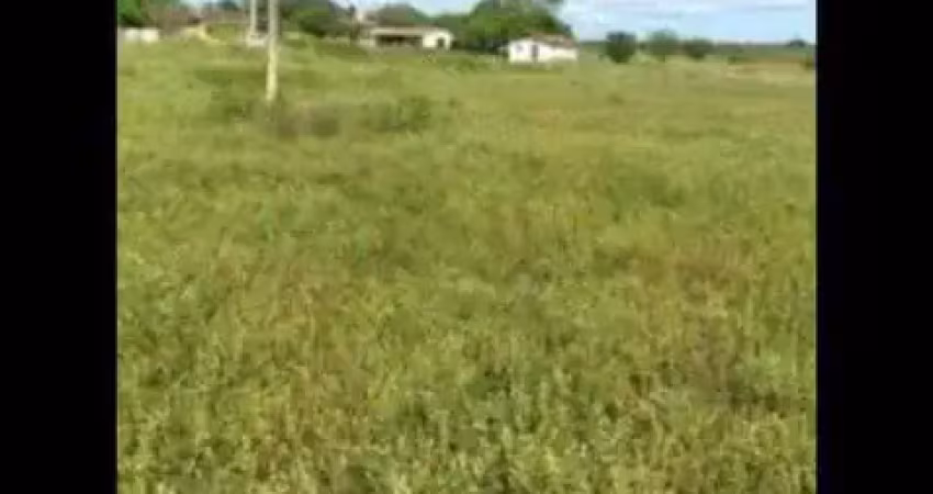 Fazenda com 110 hectares próximo a cajazeiras sentido são pedro do potengi