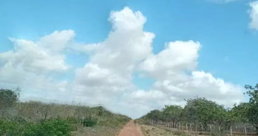 Ótima fazenda com 497 hectares na região de joão câmara terra com grande potencial