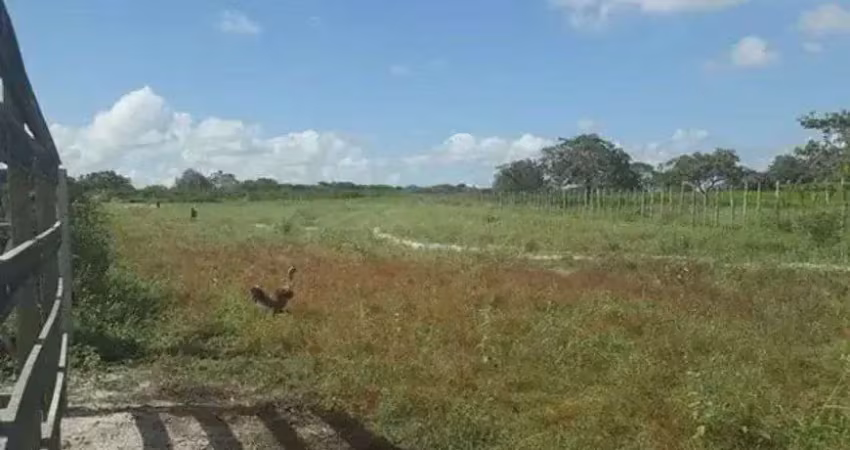 Chácara / sítio com 3 quartos à venda no Centro, Vera Cruz 