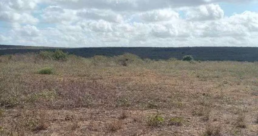 Excelente fazenda com 497 hectares na região de joão câmara terra com grande potencial