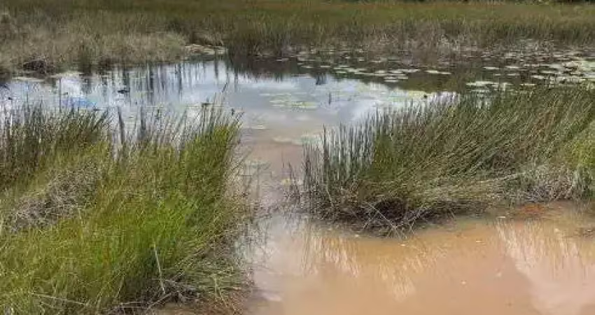 Excelente fazenda com 126 hectares na região de pedro velho-rn