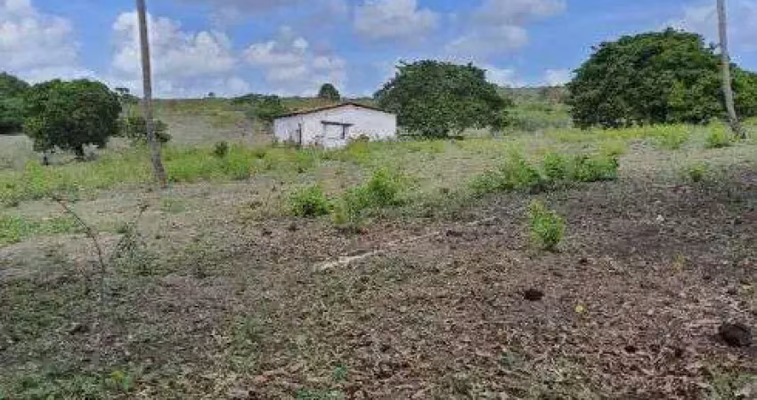 Fazenda com 150 hectares na região de são gonçalo do amarante