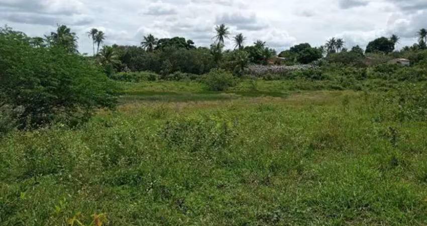 Fazenda com 200 hectares na região de são gonçalo do amarante