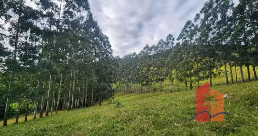 Propriedade rural à venda – 80.520 m² em paulo lopes/sc