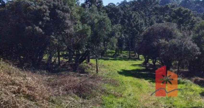 Terreno de 2 hectares em urubici – altitude, clima frio e oportunidade para projetos sustentáveis