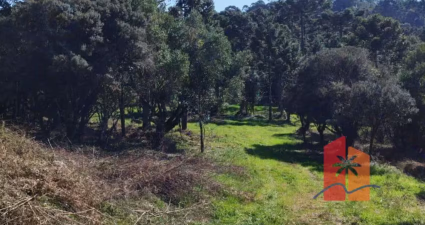 Terreno de 2 hectares em urubici – altitude, clima frio e pronto para projetos sustentáveis