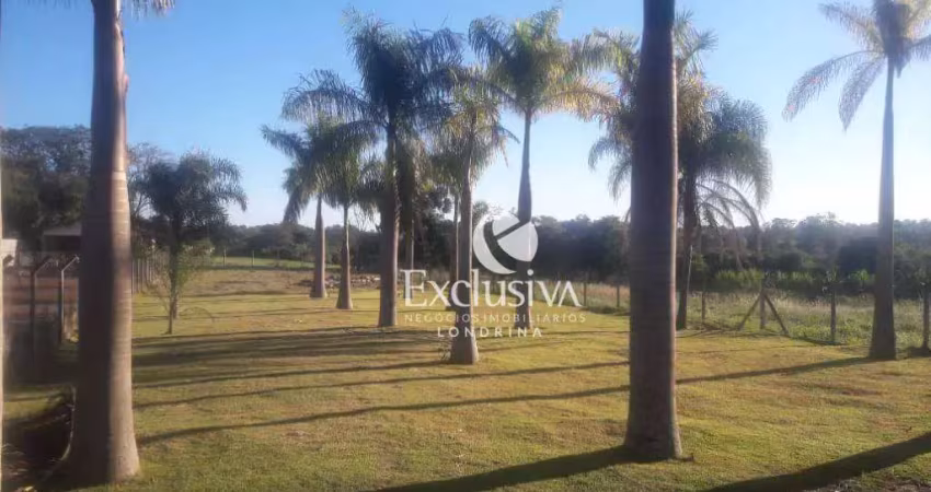 Chácara à venda, 2020 m² - gleba fazenda palhano - londrina/pr