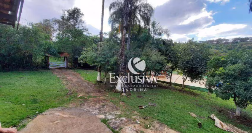 Chácara com 4 dormitórios à venda, 29500 m² - estrada do limoeiro - londrina/pr