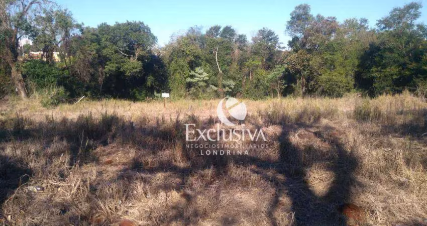 Terreno à venda, 500 m² - jardim itatiaia 1 - londrina/pr