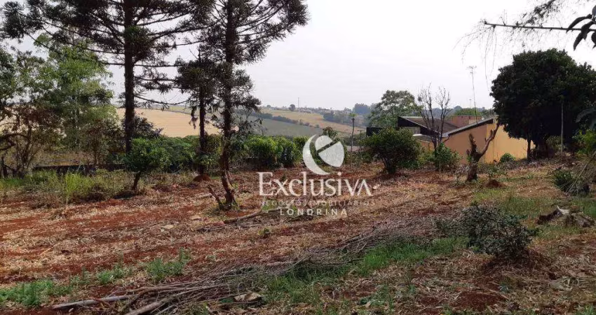 Terreno à venda, 3200 m² - centro - rolândia/paraná