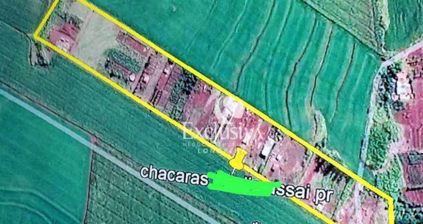 Chácara à venda, 1600 m² - município de assaí - assaí/pr