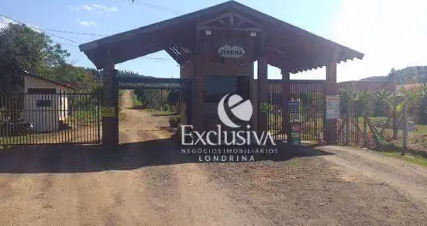 Chácara à venda, 10000 m² - chácara fazenda itaúna - ibiporã/pr