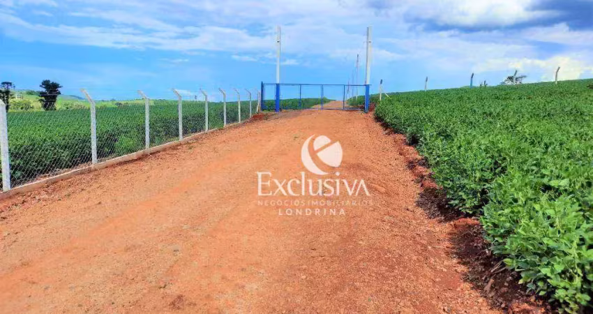 Chácara à venda, 1500 m²- recanto paraíso - londrina/pr
