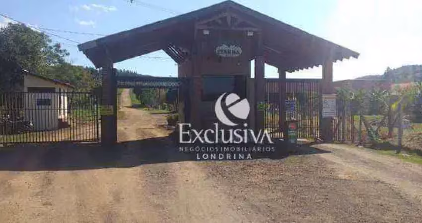 Chácara à venda, 3800 m² - chácara fazenda itaúna - ibiporã/pr