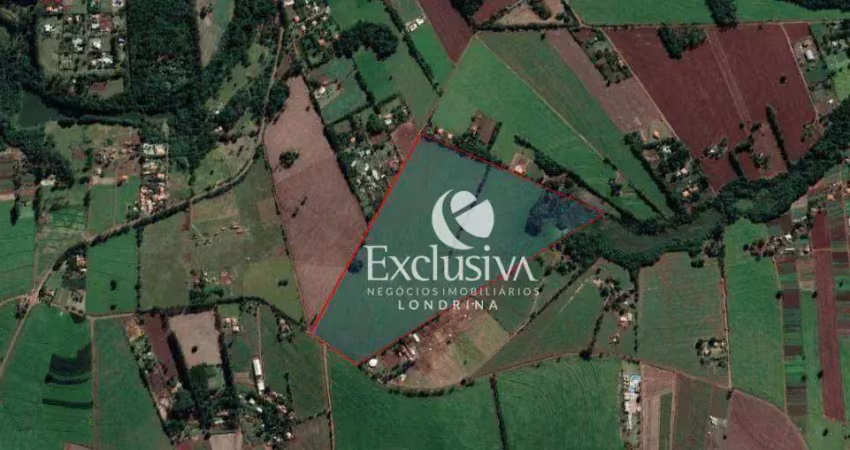 Sítio à venda, 363000 m² - estrada da cegonha - londrina/pr