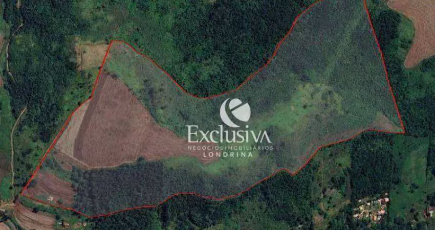 Área à venda, 10.44 alqueires - zona rural sul - londrina/pr