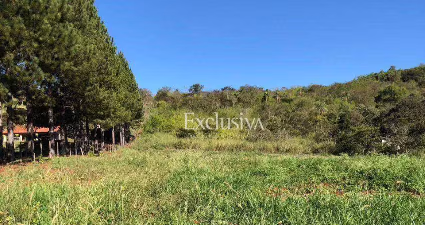 Chácara à venda, 20000 m² - fazenda chácaras itauna - ibiporã/pr