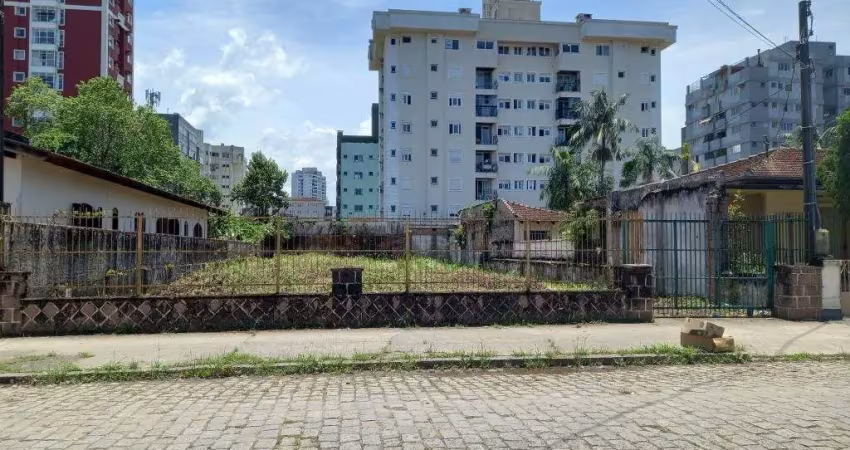 Terreno no anita garibaldi com 0 quartos para locação, 606 m²
