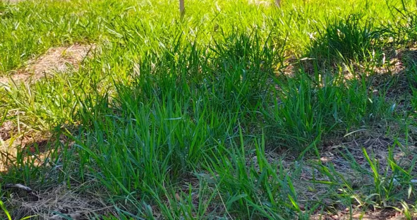 Lindo terreno comarcial de esquina, plaino otima localização -proximo avenida mandacaru-maringá-pr