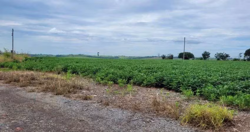 Lote/terreno para venda tem 290000 metros quadrados em graminha - limeira - sp
