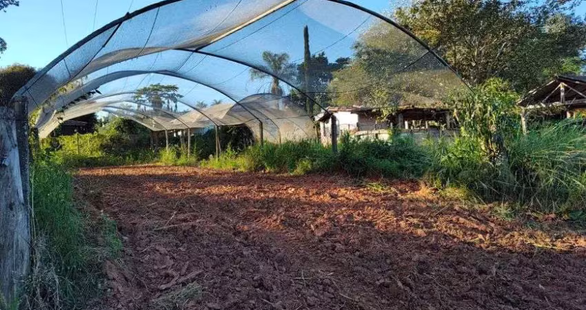 Fazenda/sítio/chácara para venda possui 100000 metros quadrados com 7 quartos