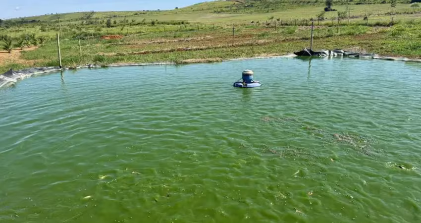 Sítio para venda em patos de minas, rural, 4 dormitórios, 3 suítes, 2 banheiros