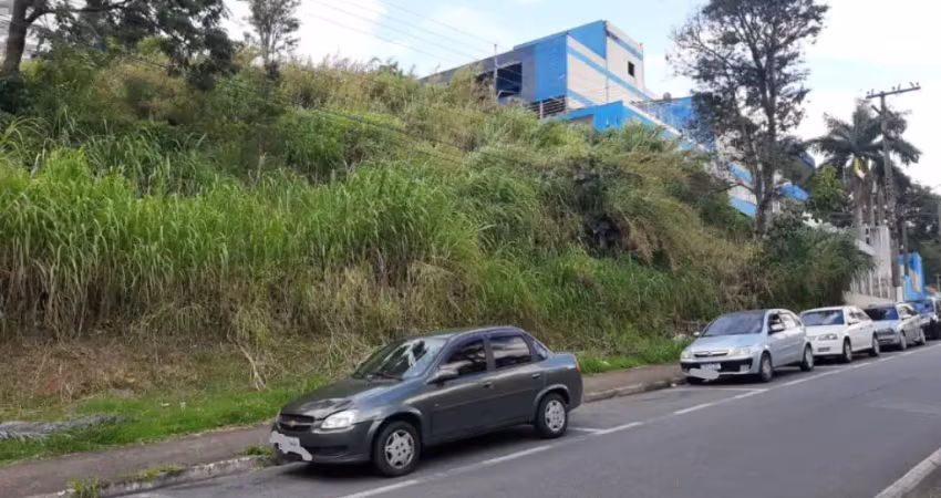 Terreno à venda na Rua Judite Rodrigues Norte, 3489, Jardim Renata, Arujá