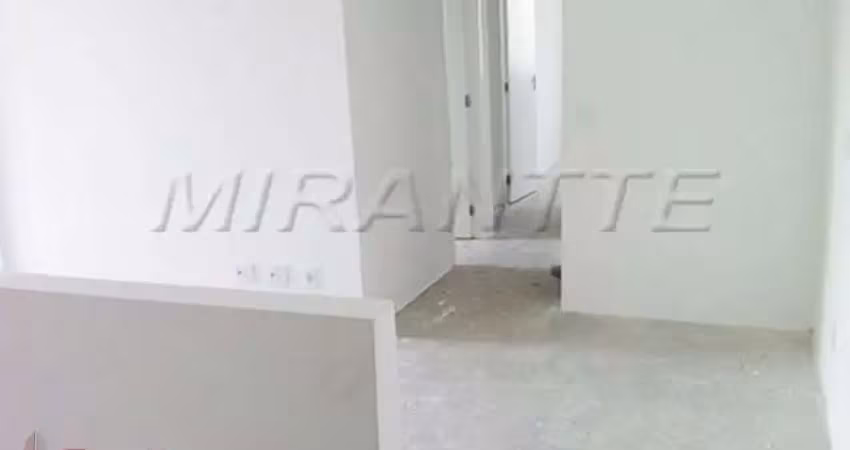 Apartamento a venda no parque novo mundo,  3 dormitórios, 1 vaga.