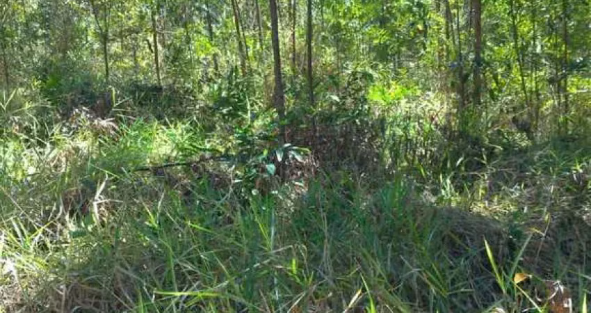 Chácara / sítio à venda no Pindorama, Mogi das Cruzes 